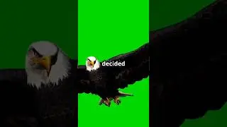 Are You a DUCK?! 😱 This Taxi Driver's Secret Will Change Your Life FOREVER! 🦅