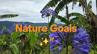 Bright flowers. Fresh village greenery. Mountains rising behind&mdash;all in one peaceful moment. 🌸⛰️✨