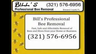 Brevard County Bee Removal 321-576-6956