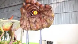 dinosaur eyes movement testing