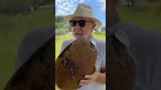 Lula d&aacute; aula: Isto &eacute; uma jaca