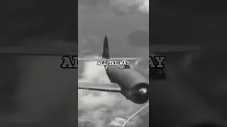 P-51 Mustang (1944): Как один истребитель в одиночку удержал линию обороны