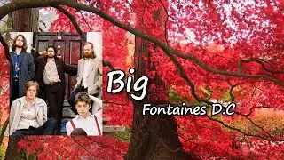 Fontaines D.C. - Big  lyrics