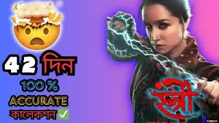 Stree 2 বক্স অফিসস কালেকশন🤯| 42 দিন 😱| বিগেস্ট কালেকশন In History💲| কেউ কোনদিন বলেনি🤫