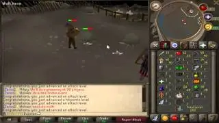 Ironman - EP.1 - Zaros (RSPS)