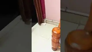 love birds first flight cute video 💝🤩 Lovebuddies #shorts #budgies #lovebirds #buddies #charlie