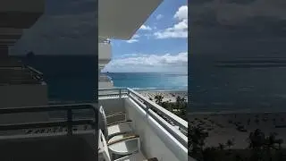Miami vibes #travelvlog #travel #shorts #miami #lifestyle