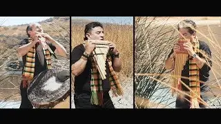 PROYECCION - CORAZON SINCERO (Video del Canal Oficial) Tinku.