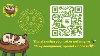 🌙🐾 My Muslim Cat Coin (MMCC) &ndash; A Crypto for Charity & Compassion 💛