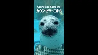 【寄り添うこまち】Komachi, Who Empathizes with People’s Hearts【予約の取れないカウンセラー】