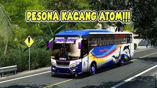 Pesona Kacang Atom!! Sugeng Rahayu 