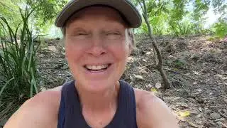 Health update, plus my thoughts and questions  regarding off-label drugs to treat cancer. 