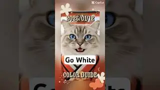 Color Guide 2026/01/12 😍 🤣 🐱 💦 #shorts #cat #beatstostudy #cute #cutecat #fortunetelling
