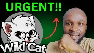 ДЕРЖАТЕЛИ КРИПТОВАЛЮТЫ WIKICAT | 87% ПРОПУСТЯТ!!
