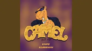Camel 2023
