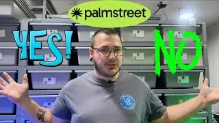 Is Palmstreet Worth It for Reptile Sellers? Our Honest Review and Experience