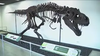 Discovery Center of Idaho&rsquo;s capital campaign looks to expand the future of education