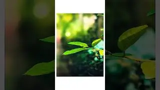Vivo V60 Portrait Photography Setting ✨📸#photography #mobilephotography #portraitphotography #shorts
