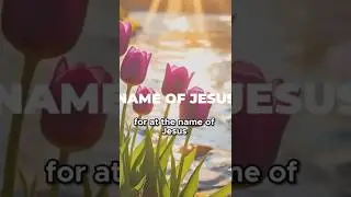 Jesus&rsquo; Name Has Power: How Faith Transforms Pain into Purpose and Victory