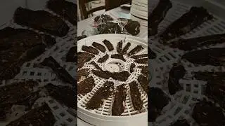 Easy & Delicious Venison Jerky
