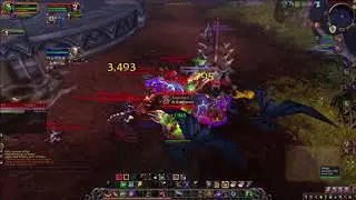 Wow BFA Beast Mastery Hunter 2v2 arena