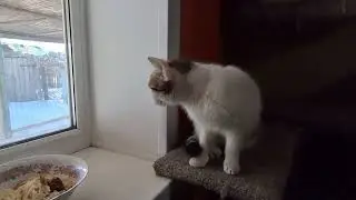 А мы всё кушаем и кушаем😁
