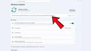 How to Fix Windows 11 KB5077181 Not Installing on Version 25H2/24H2