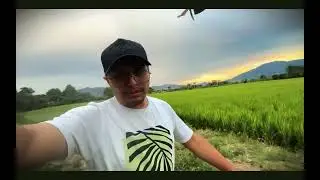 STIFF DLX VLOG 1