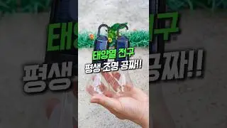 Complete your outdoor lighting with a 4,000 won solar light bulb! - Solar Light Bulb