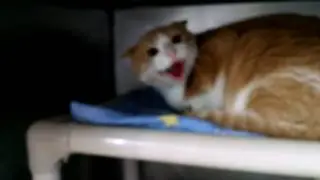 Scared Deano