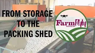 Farm Flyby- Transferring Onions from Storage to the Packing Shed
