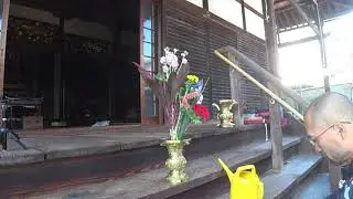 簡単仏花