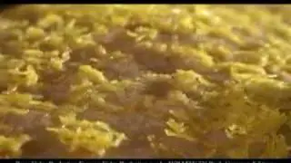 AVP Corporate Video Laguna