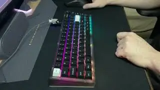 NK65 Entry Edition (Smoke) Typing Sound Test ft. Paco Switches (No talking/music)