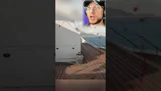 ДИКИЙ ЗАБЕГ
