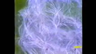Video Saber Conocimiento Audiovisual (1990)