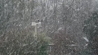 Kräftige Schneefälle mit dicken Flocken am 2. Januar 2026