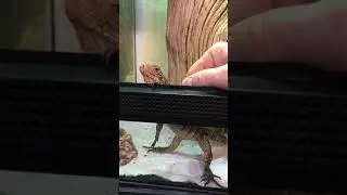 RazerVid1 22 18