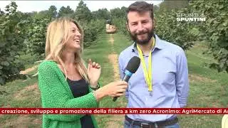 Spunti&Spuntini - Ottobre, in Casentino è tempo di raccolta delle nocciole