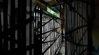 Suasana di rumah pop ice corner Bintang Jaya