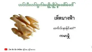 ထိုင်းဘာသာဟင်းသီးဟင်းရွက်အမျိုးမျိုးရဲ့အခေါ်အဝေါ် (83)မျိုး Part.1