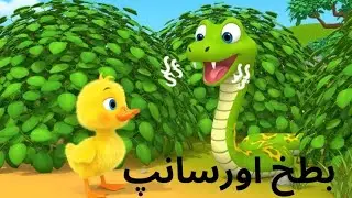 Duck and snake Urdu story || short story || kids story Brave duck story||Bravery story 