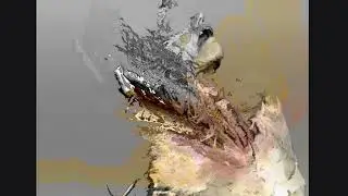 Shimmer (These Haunted OBJECTS) 2024, Marius Ritual, Sound Art/Digital Media