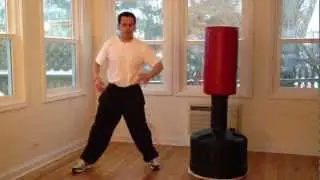 Wing Chun front kick defense