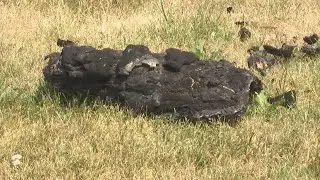 Rockton Chemtool fire sent debris to neighboring towns