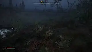 Stalker 2 PS5 playthrough