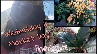 Wednesday is Market Day/ Brenda Ontal vlog