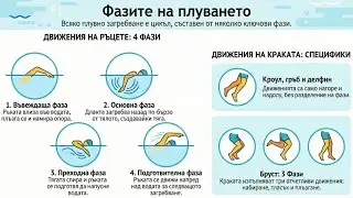 7.Фазова структура на плувните движения- ръце и крака (кроул, бруст и гръб)