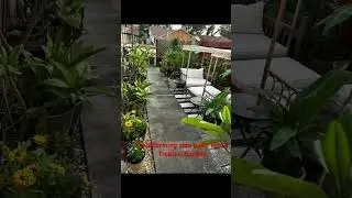 Little Tropical Garden #florida #homesweethome #patiogarden #tropicalgarden #peaceful