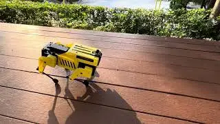 MD Mini Pupper 1G robot: Multimodal Generative AI demo